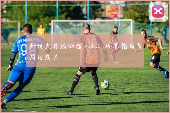 如何支持成都猎人队：观赛指南与周边购买
