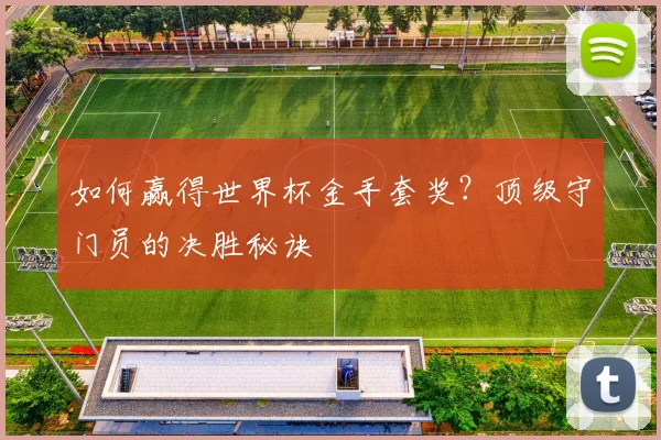 如何赢得世界杯金手套奖？顶级守门员的决胜秘诀